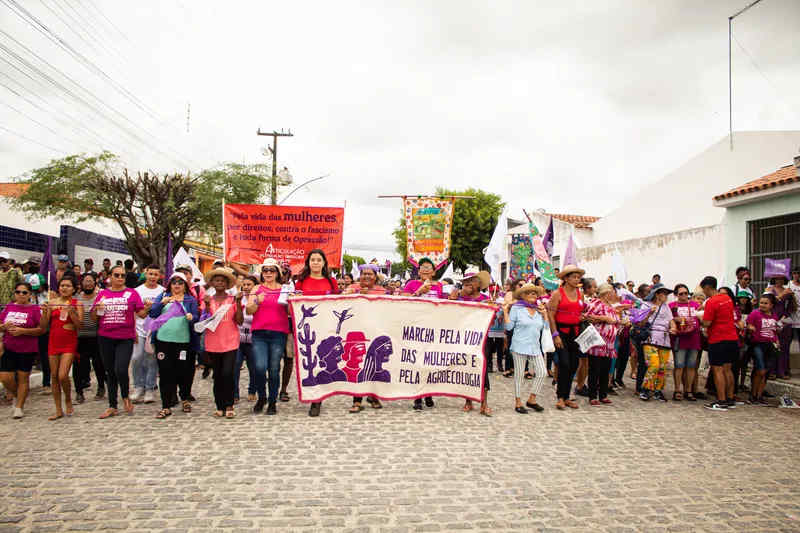 Derrubada da Caatinga para construção de parques eólicos motiva manifestação de mulheres na Paraíba