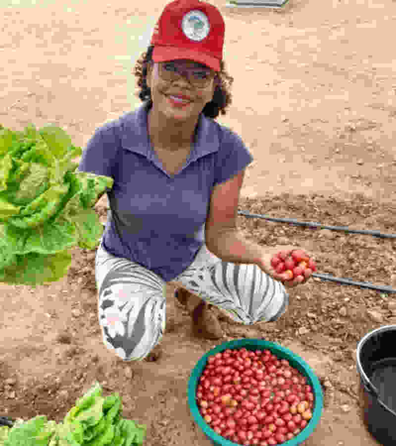 Agroecologia: Os modos de ser, de produzir e de lutar. Artigo de Denise de Sordi