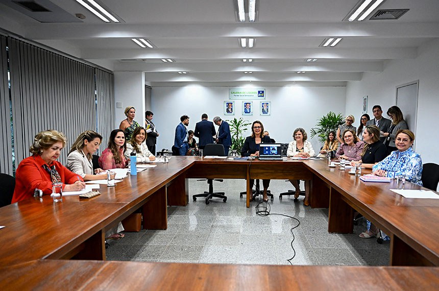 bancada feminina senado federal2025