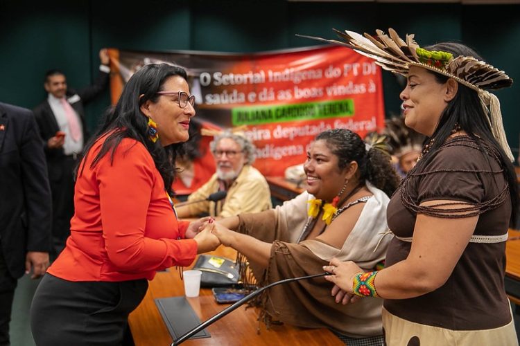Juliana Cardoso propõe criação de cotas aos povos indígenas em concursos públicos