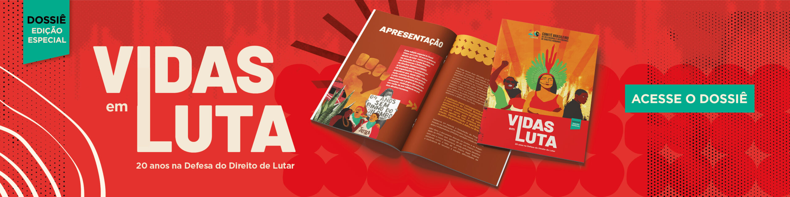 banner vidas em luta