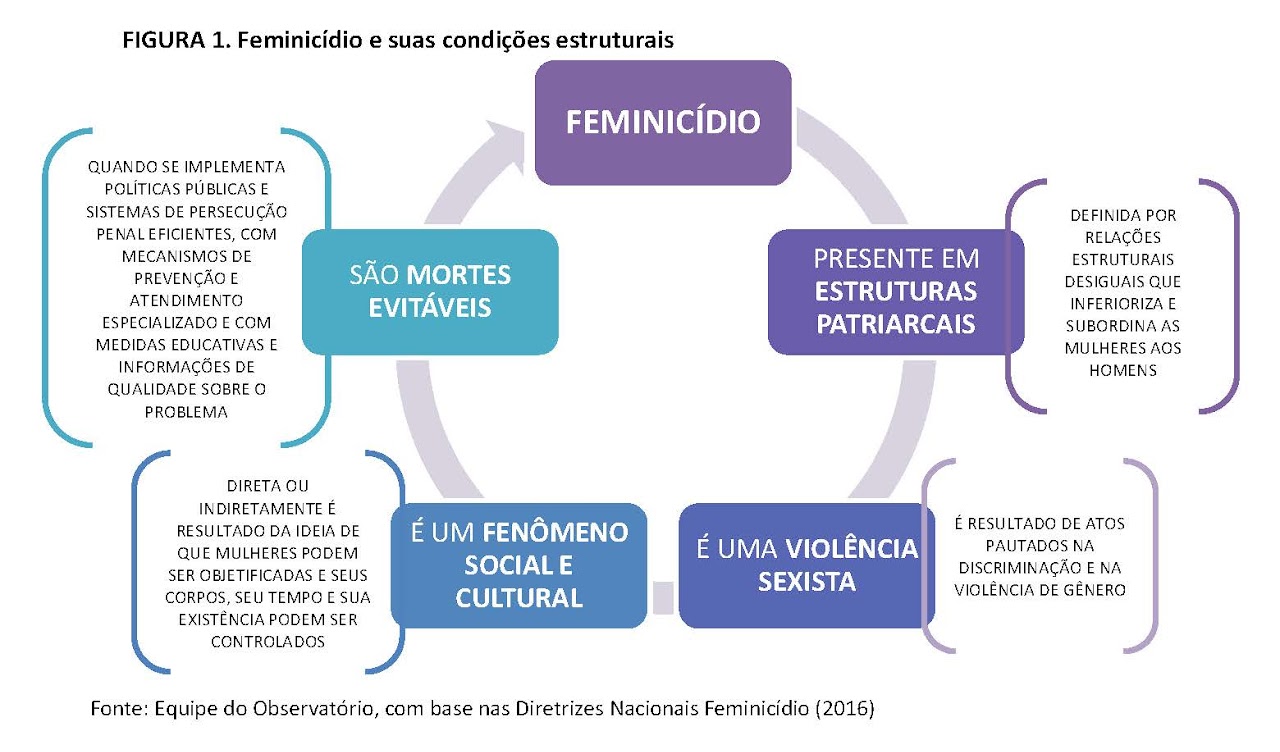 feminicidio Figura 1