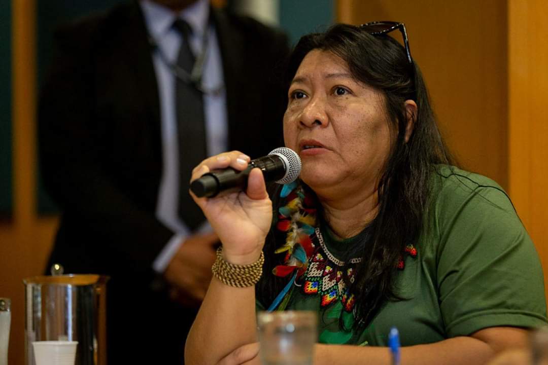 Em 55 anos, Joenia Wapichana é a primeira mulher indígena a assumir a Presidência da Funai