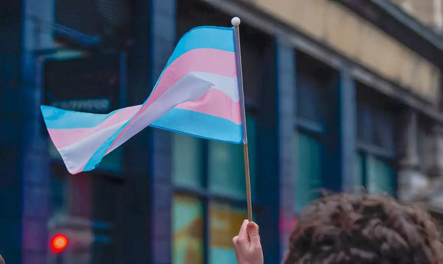trans bandeira