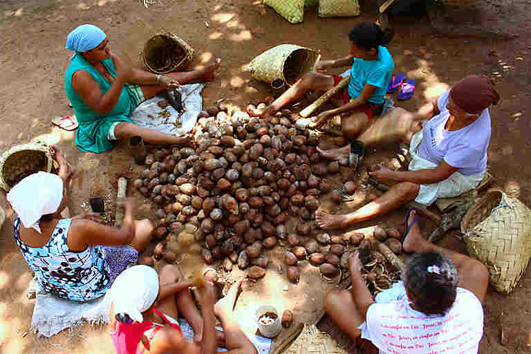 Quebradeiras de Coco Babaçu inauguram Centro de Formação com financiamento do Fundo Amazônia