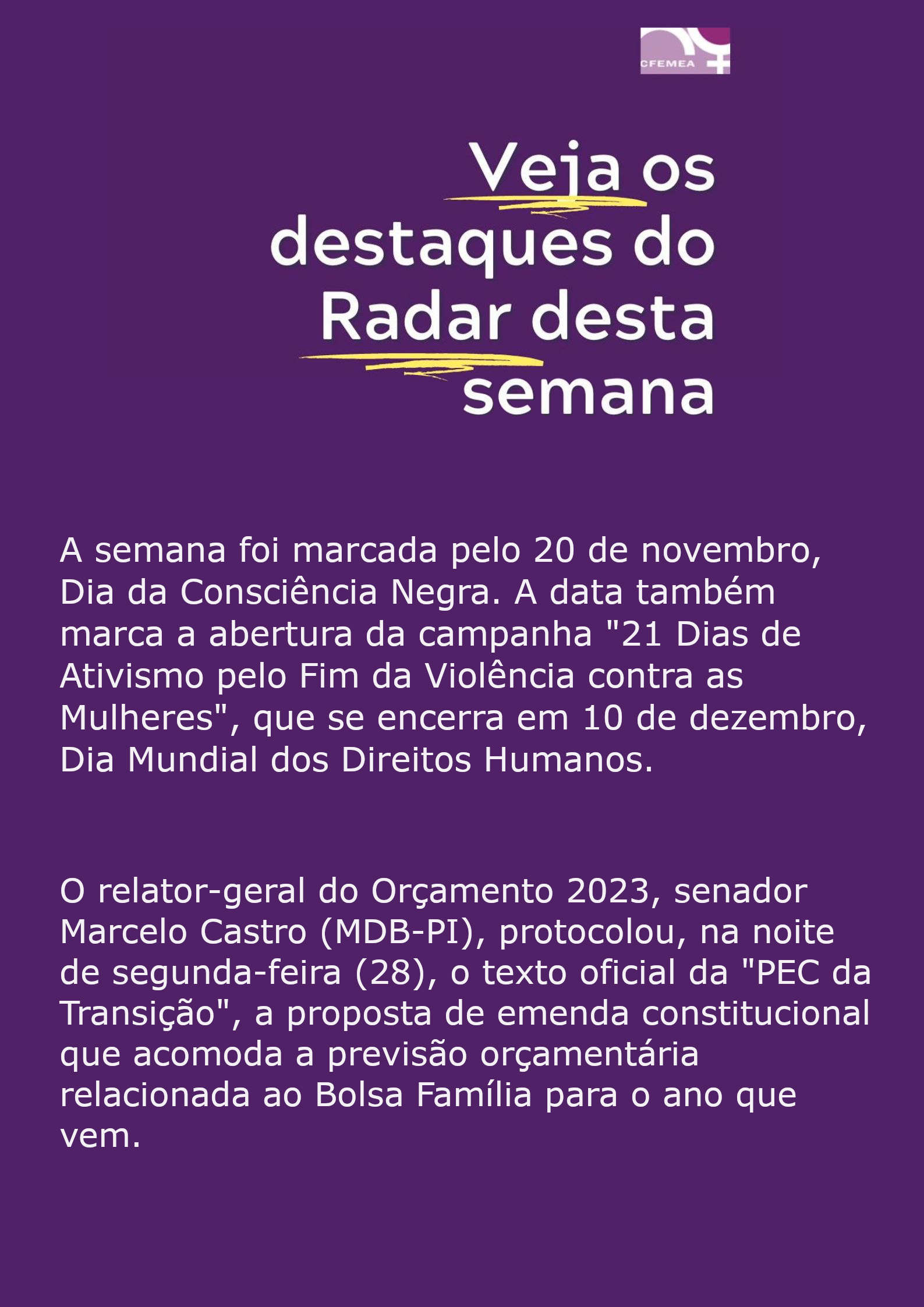 Radar Feminista do Congresso Nacional - 29 de novembro de 2022