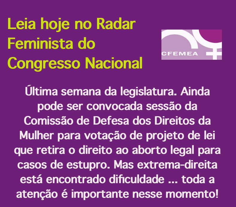Radar Feminista no Congresso Nacional - 20 de dezembro de 2022