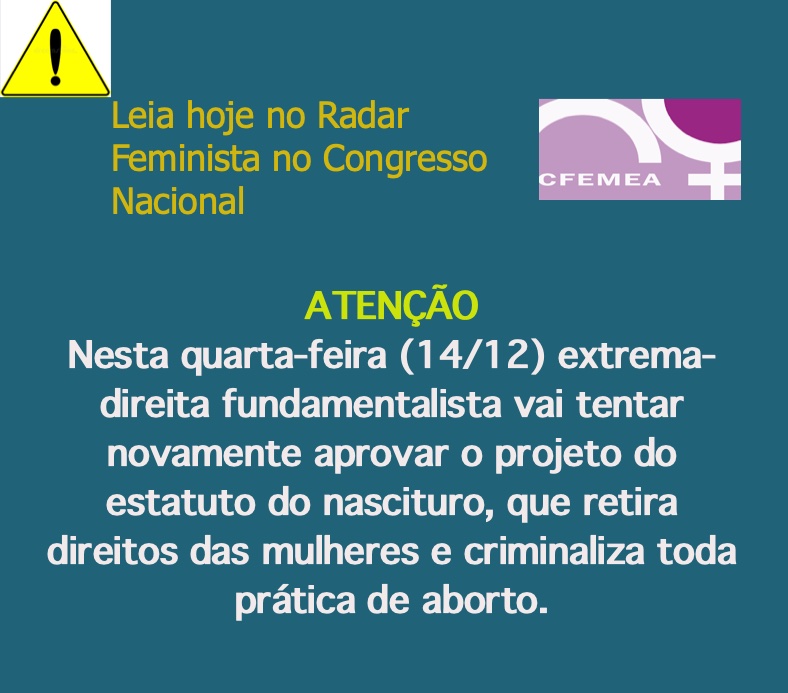 Radar Feminista do Congresso Nacional - 13 de dezembro de 2022