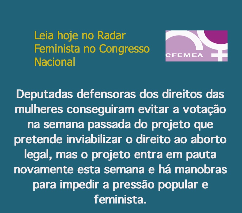 Radar Feminista no Congresso Nacional - 6 de dezembro de 2022