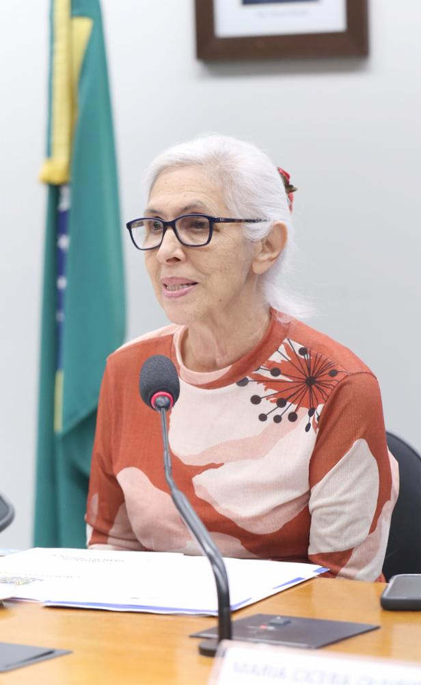 guacira oliveira cfemea camara13nov2025